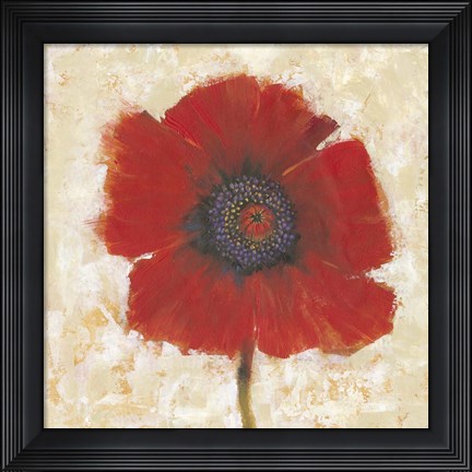 Framed Red Poppy Portrait II Print