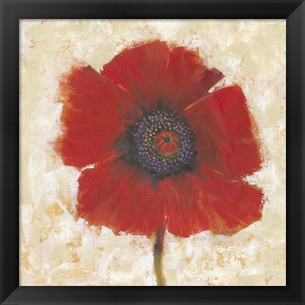 Framed Red Poppy Portrait II Print