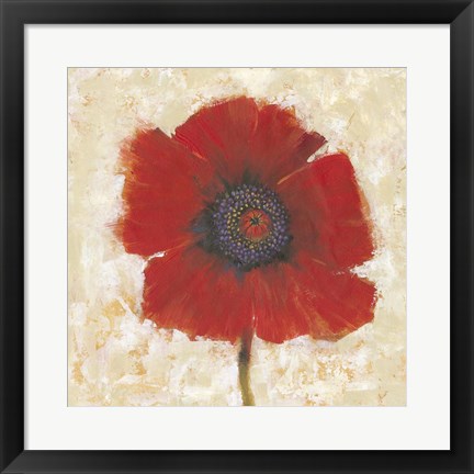 Framed Red Poppy Portrait II Print