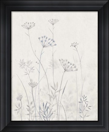 Framed Neutral Queen Anne&#39;s Lace I Print
