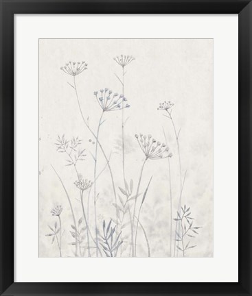 Framed Neutral Queen Anne&#39;s Lace I Print