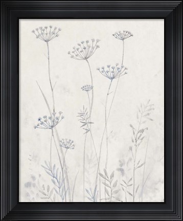 Framed Neutral Queen Anne&#39;s Lace II Print