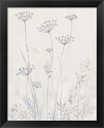Framed Neutral Queen Anne&#39;s Lace II Print