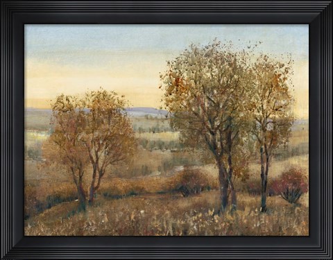 Framed Overlook II Print