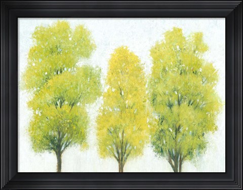 Framed Spring Eternal II Print
