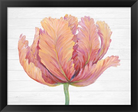Framed Single Pink Bloom I Print