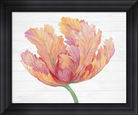 Framed Single Pink Bloom II Print