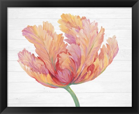 Framed Single Pink Bloom II Print