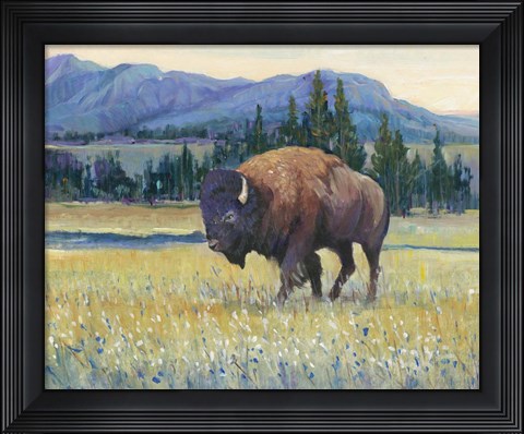 Framed Animals of the West II Print