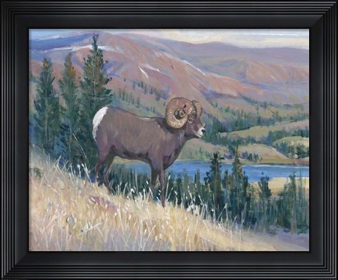 Framed Animals of the West III Print