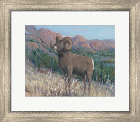 Framed Animals of the West IV Print