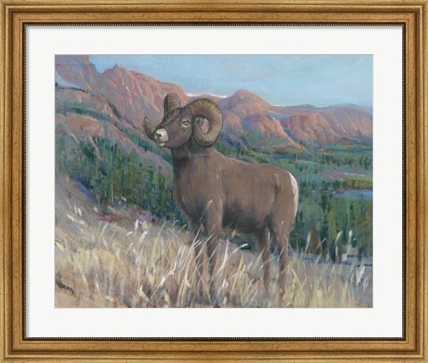 Framed Animals of the West IV Print