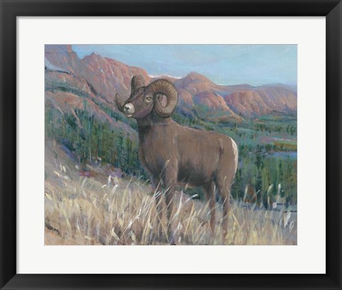 Framed Animals of the West IV Print