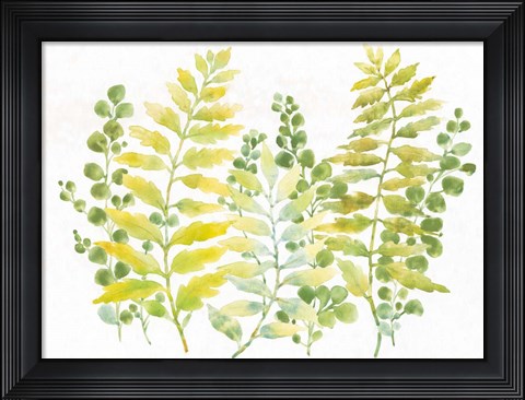 Framed Mixed Greenery I Print