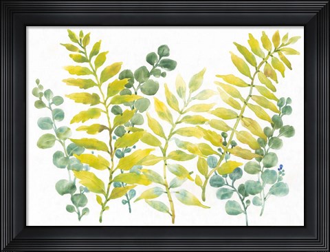 Framed Mixed Greenery II Print