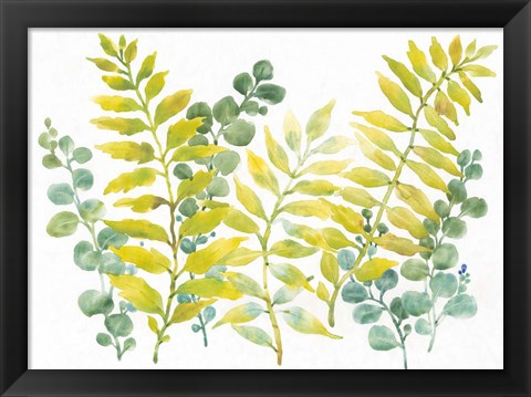 Framed Mixed Greenery II Print