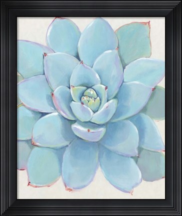 Framed Pastel Succulent I Print