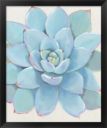 Framed Pastel Succulent I Print