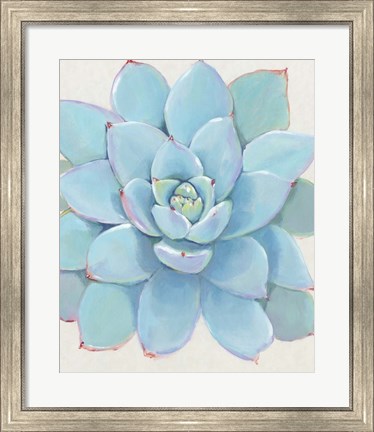 Framed Pastel Succulent I Print