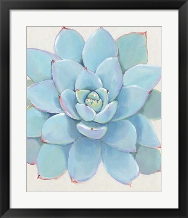 Framed Pastel Succulent I Print