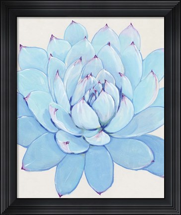 Framed Pastel Succulent II Print