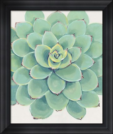 Framed Pastel Succulent III Print