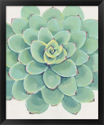 Framed Pastel Succulent III Print