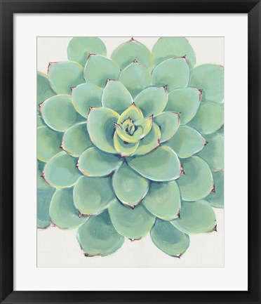 Framed Pastel Succulent III Print