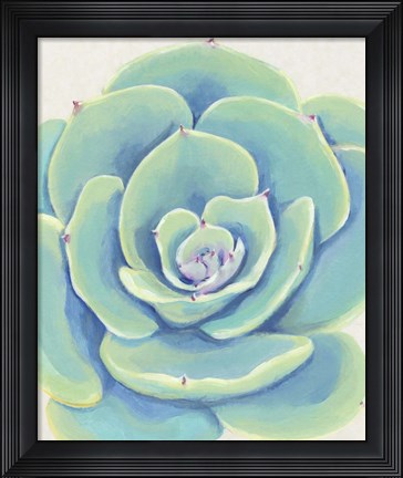 Framed Pastel Succulent IV Print