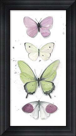 Framed Summer Butterflies II Print