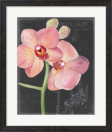 Framed Chalkboard Flower I Print