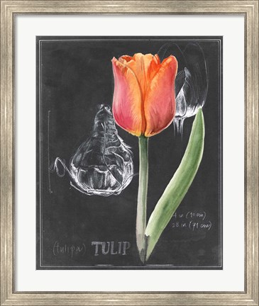 Framed Chalkboard Flower III Print