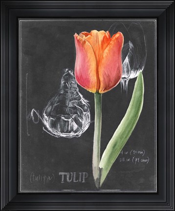 Framed Chalkboard Flower III Print