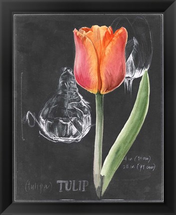 Framed Chalkboard Flower III Print