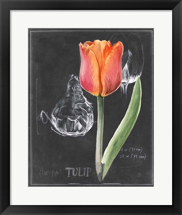 Framed Chalkboard Flower III Print