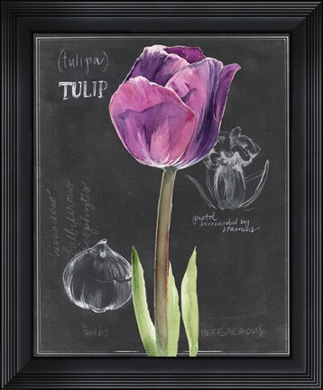 Framed Chalkboard Flower IV Print