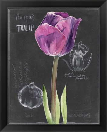 Framed Chalkboard Flower IV Print