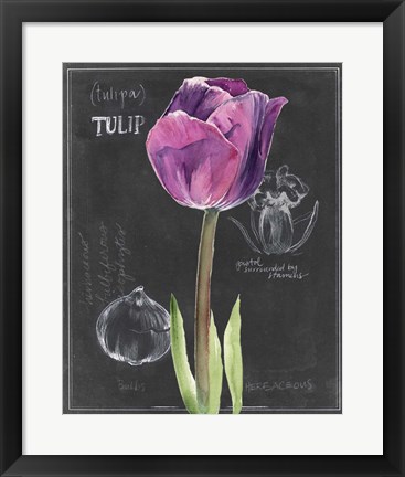 Framed Chalkboard Flower IV Print