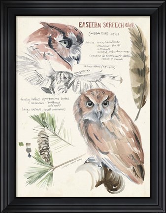 Framed Wildlife Journals I Print