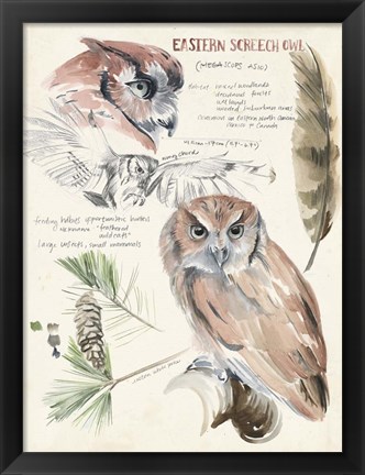 Framed Wildlife Journals I Print