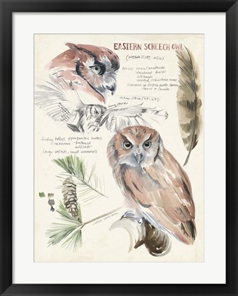 Framed Wildlife Journals I Print