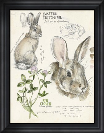 Framed Wildlife Journals II Print