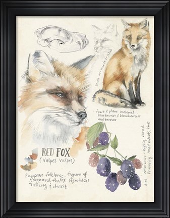 Framed Wildlife Journals III Print