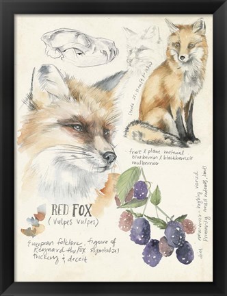 Framed Wildlife Journals III Print