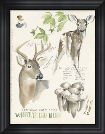 Framed Wildlife Journals IV Print