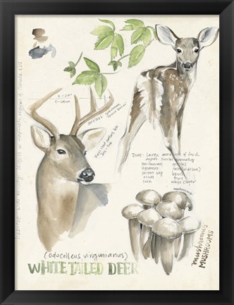 Framed Wildlife Journals IV Print