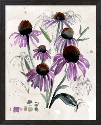 Framed Purple Wildflowers II Print