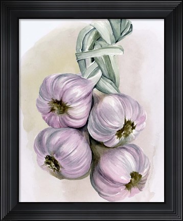 Framed Garlic Braid I Print