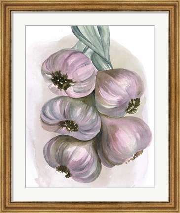 Framed Garlic Braid II Print