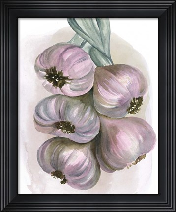Framed Garlic Braid II Print